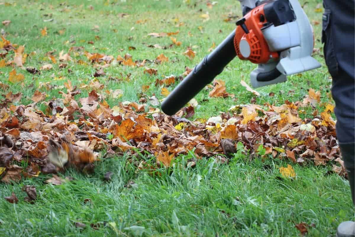 Fall/Spring Cleanup
