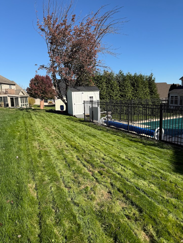 Seasonal Cleanup